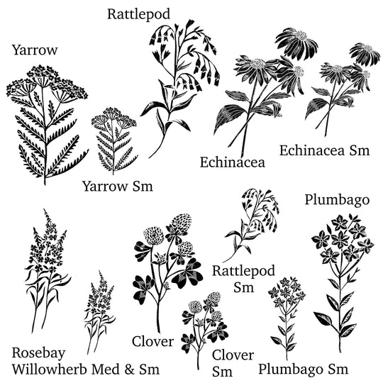 Butterfly Garden Flowers Rubber Stamps for Card making and Craft Stamping Gifts for Gardeners - Noolibird