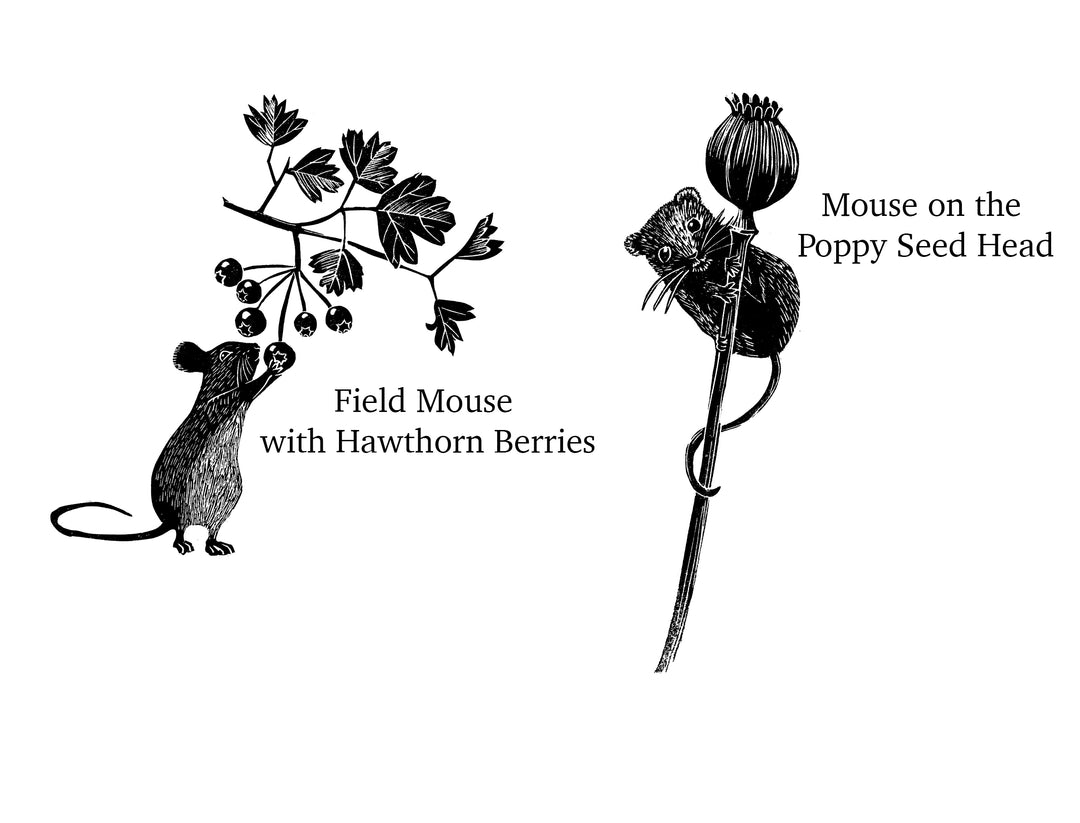 Field Mouse Rubber Stamp - Autumn Woodland Hawthorn Berries | Noolibird