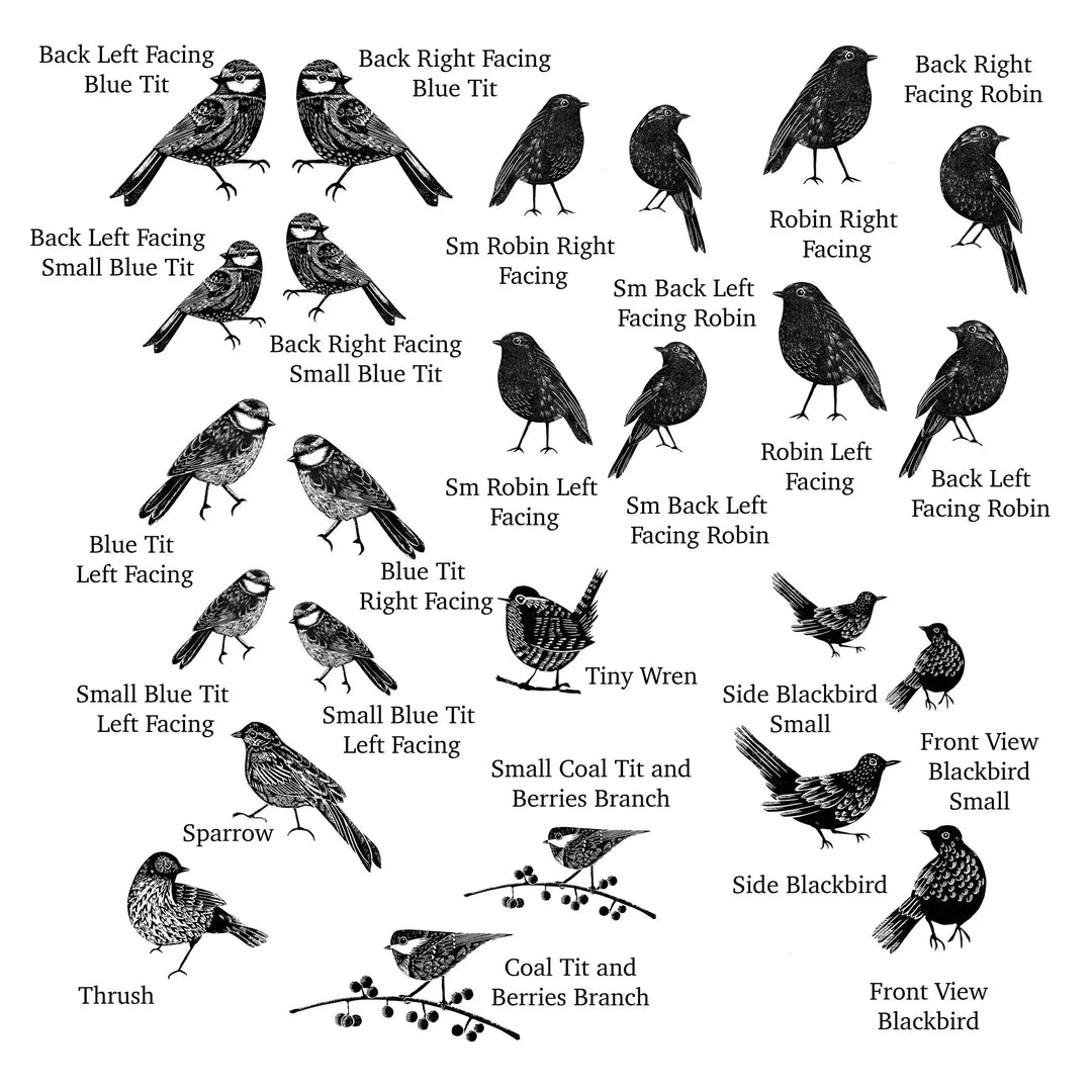 Garden Bird Stamps – Robin, Blue Tit, Blackbird, Sparrow, Thrush &amp; Coal Tit | Handmade Cardmaking Stamps