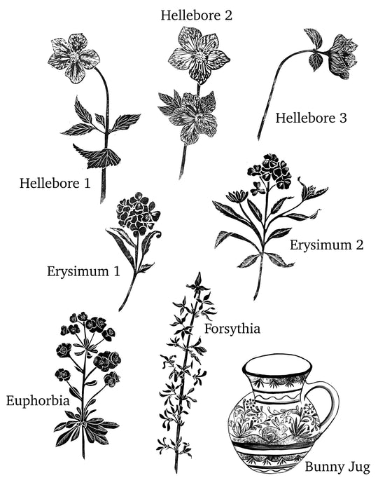 Favourite Spring Flowers, Flower  and Jug Stamps for Cardmaking and Nature Journaling Noolibird