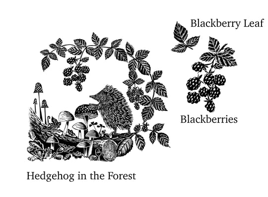 Hedgehog Rubber Stamp - Autumn Forest Woodland Craft Stamp | Noolibird