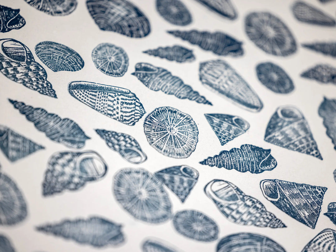 Shell Stamps Pattern Shell Rubber Stamps | Coastal Nature Stamps | Noolibird