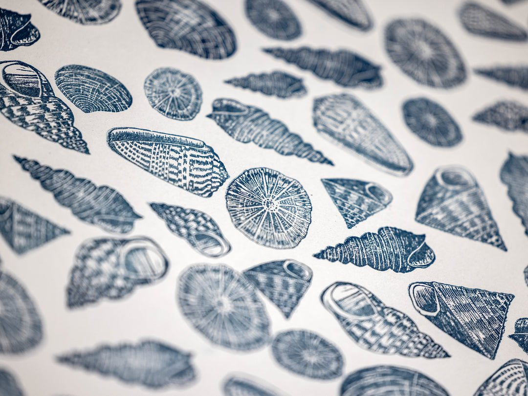 Shell Rubber Stamps for Craft and Card making, Scrapbooking and Journals
