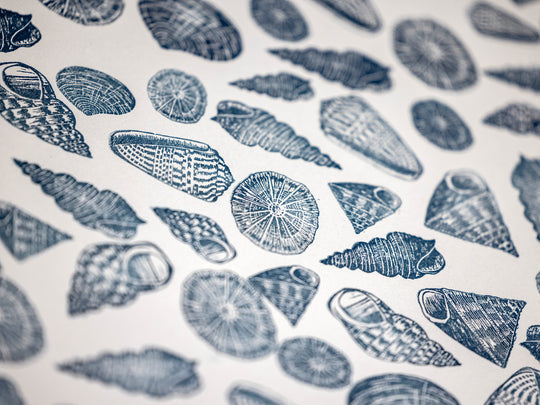 Shell Rubber Stamps for Craft and Card making, Scrapbooking and Journals