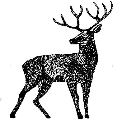 Highland Stag and Full Moon Rubber Stamps, Wild Grass Stamps, Craft Stamp, Craft Gift, Journalling Stamps, Art Stamp - Noolibird