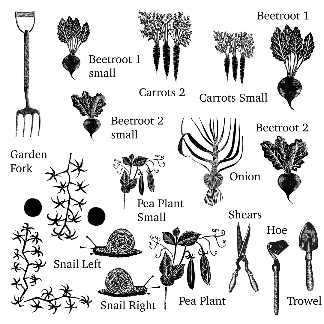 Vegetable Rubber Stamps for Card Making, Garden Journals &amp; Kitchen Garden Projects