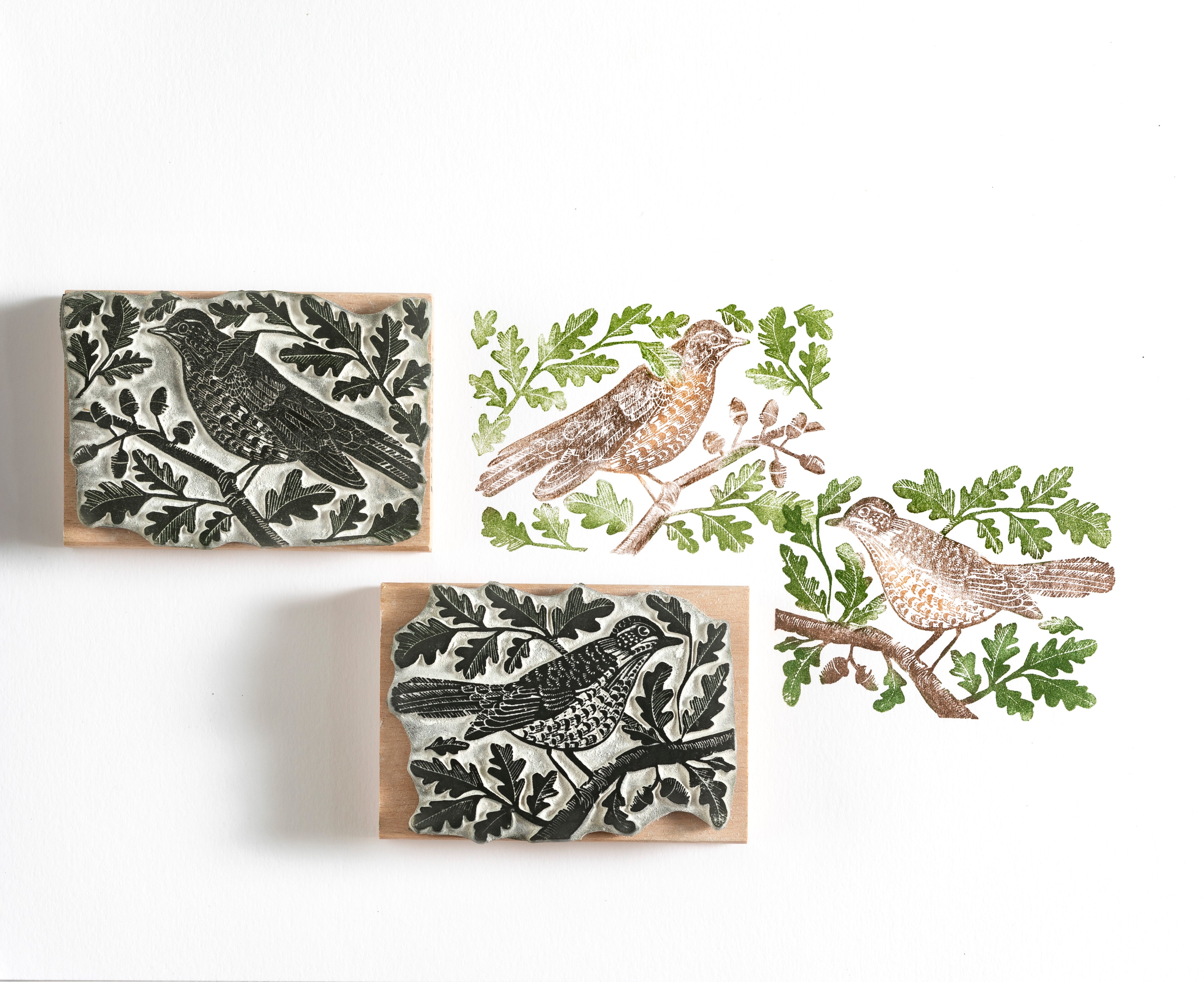 Mistle Thrushes In the Oak Tree, Thrush Rubber Stamp, Bird Stamp, Songbird Stamp. - Noolibird