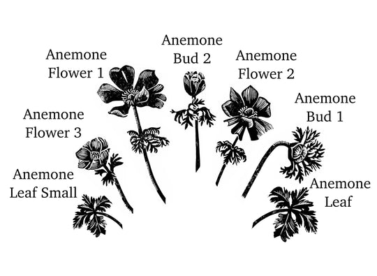 Anemone Rubber Stamps, Flower Stamps for Card making - Noolibird
