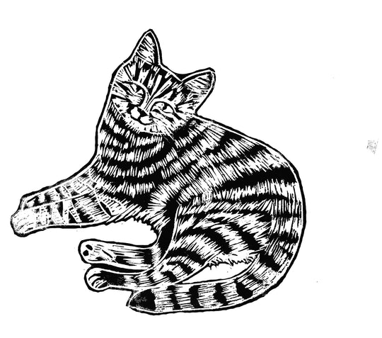 Tabby Cat Rubber Stamp - Noolibird