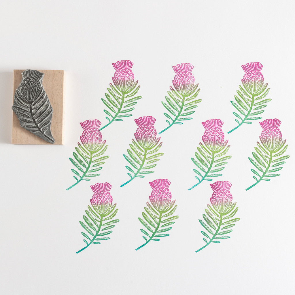 Protea Stamp - Noolibird