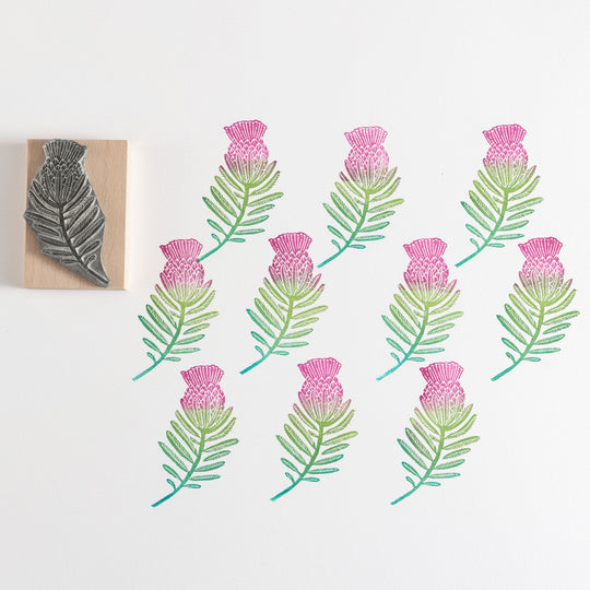 Protea Stamp - Noolibird