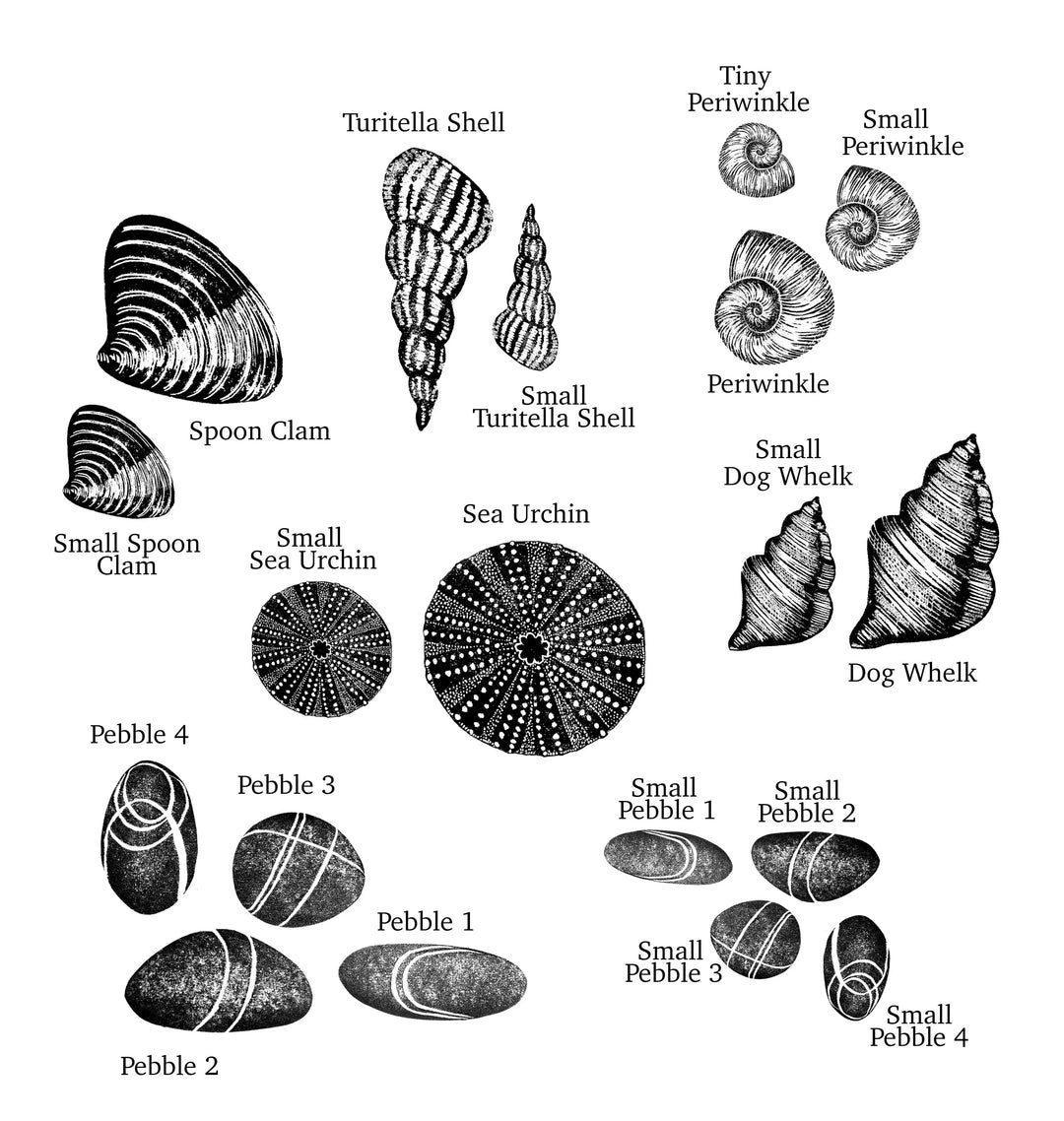 Shell Stamps Pattern Sea Shell Rubber Stamps, Shell Rubber Stamps, Seaside Stamps for card ...