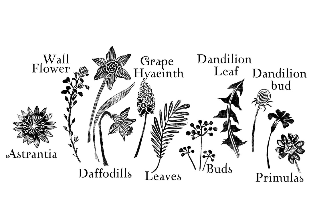 Spring Flowers Stamps - Noolibird