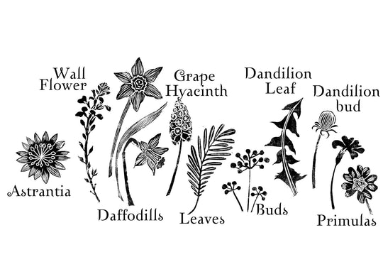 Spring Flowers Stamps - Noolibird