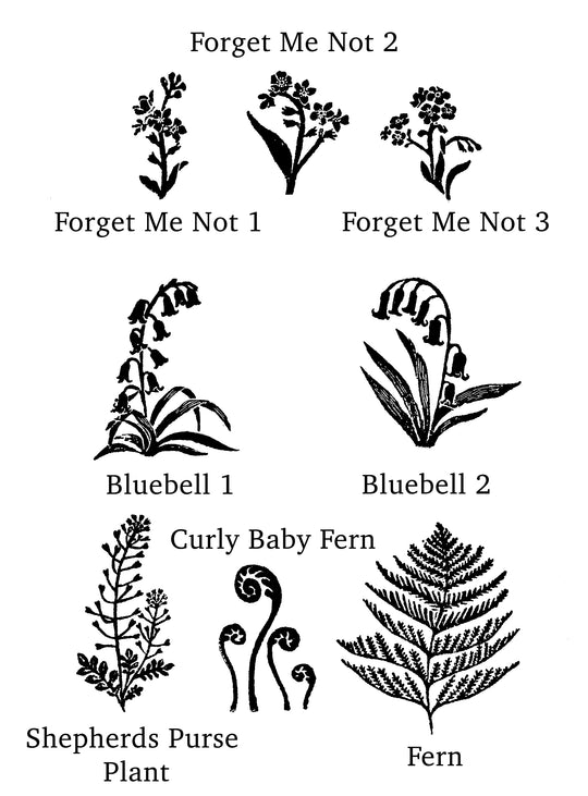 Botanical Rubber Stamps, Wild Flower Rubber Stamp, Fern Rubber Stamp, Bluebells Rubber Stamp, Forget Me Not Rubber Stamp. - Noolibird